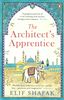 Picture of The Architect's Apprentice